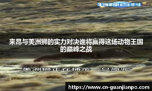 来昂与美洲狮的实力对决谁将赢得这场动物王国的巅峰之战